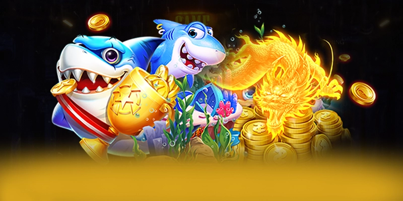 Giới thiệu chung về CONGA6789