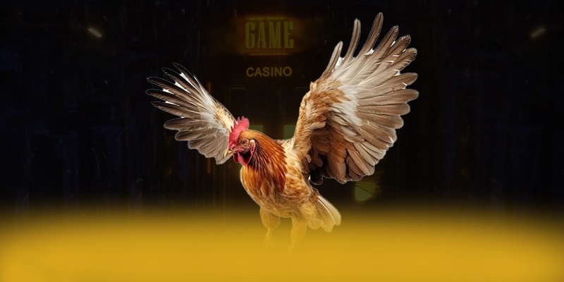 
Đánh giá SA88 - Cổng game bài được yêu thích nhất tại Việt Nam
