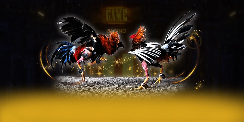 DAGA88 - Cổng trò chơi được game thủ yêu thích 2025 – Khám phá thế giới giải trí tại DAGA88