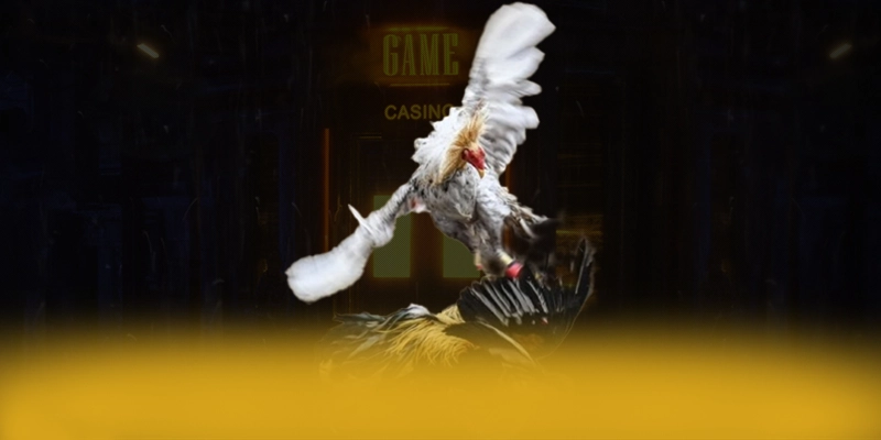 DAGA88 - Cổng giải trí sở hữu kho game phong phú được giới cược thủ tin tưởng – Khám phá top DAGA88