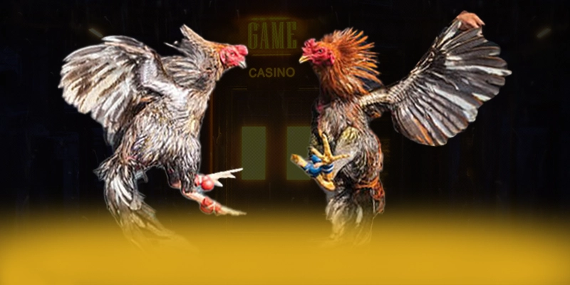 DAGA88 - Cổng trò chơi ổn định được quan tâm hàng đầu