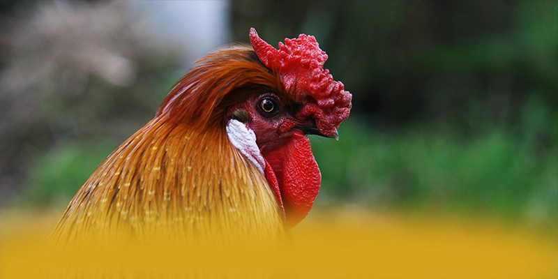 WIN79 - Cổng game bài phổ biến hàng đầu được quan tâm hàng đầu