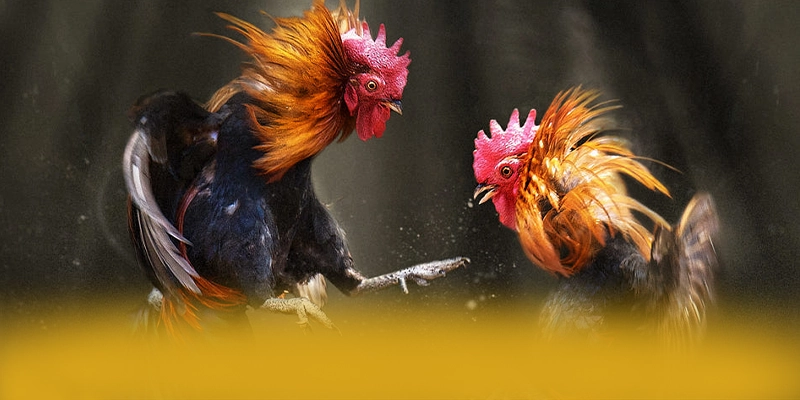 CONGA6789 - Thương hiệu game trực tuyến quy tụ nhiều siêu phẩm hot được đánh giá cao – Khám phá top CONGA6789 CONGA6789 - Thương hiệu game trực tuyến quy tụ nhiều siêu phẩm hot được đánh giá cao – Khám phá top CONGA6789