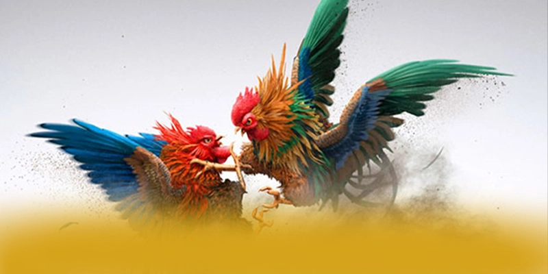 Điểm nổi bật tại tỷ lệ kèo bóng đá - Cổng game có thưởng lớn số 1 Việt Nam
Điểm nổi bật tại tỷ lệ kèo bóng đá - Cổng game có thưởng lớn số 1 Việt Nam