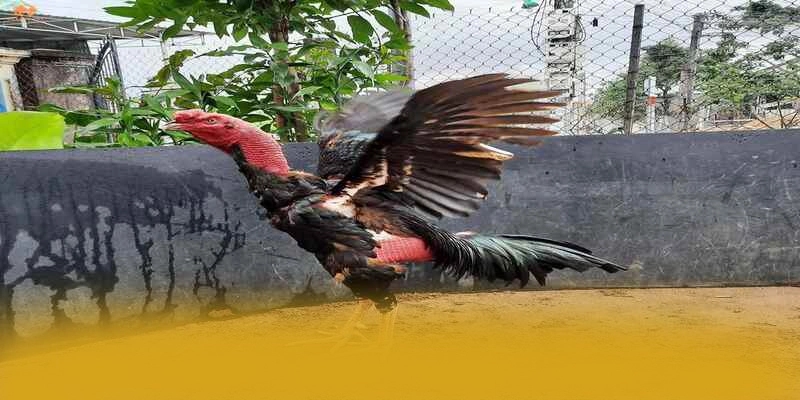 W88 - Nhà cái uy tín được yêu thích nhất