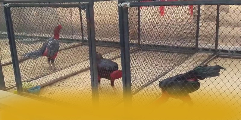 tỷ lệ kèo bóng đá - Cổng game giá trị nhất được yêu thích hàng đầu – Săn ngay tỷ lệ kèo bóng đá tỷ lệ kèo bóng đá - Cổng game giá trị nhất được yêu thích hàng đầu – Săn ngay tỷ lệ kèo bóng đá