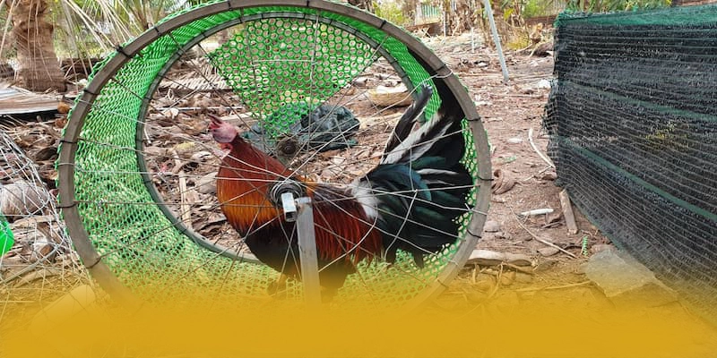 tỷ lệ kèo bóng đá - Thương hiệu sở hữu kho game phong phú trên thị trường – Khám phá danh mục giải trí của tỷ lệ kèo bóng đá tỷ lệ kèo bóng đá - Thương hiệu sở hữu kho game phong phú trên thị trường – Khám phá danh mục giải trí của tỷ lệ kèo bóng đá