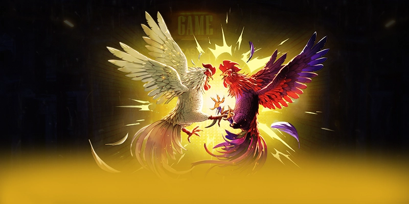 WIN79 - Sảnh game được yêu thích được người chơi tin tưởng – Tìm hiểu khuyến mãi độc quyền của WIN79