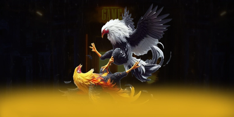 NK88 – Cổng game an toàn tuyệt đối, đang làm mưa làm gió trên thị trường. NK88 – Cổng game an toàn tuyệt đối, đang làm mưa làm gió trên thị trường.